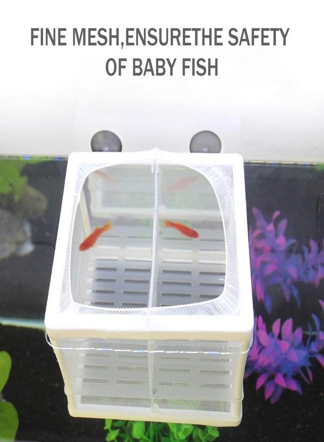 Qpets® Fish Breeding Box Isolation for Betta with Suction Cups Divider Small Aquarium Tank Nylon Mesh DIY Assembling Fry Hatchery Net Breeder 16x14x15CM 2 PCS - Image 5